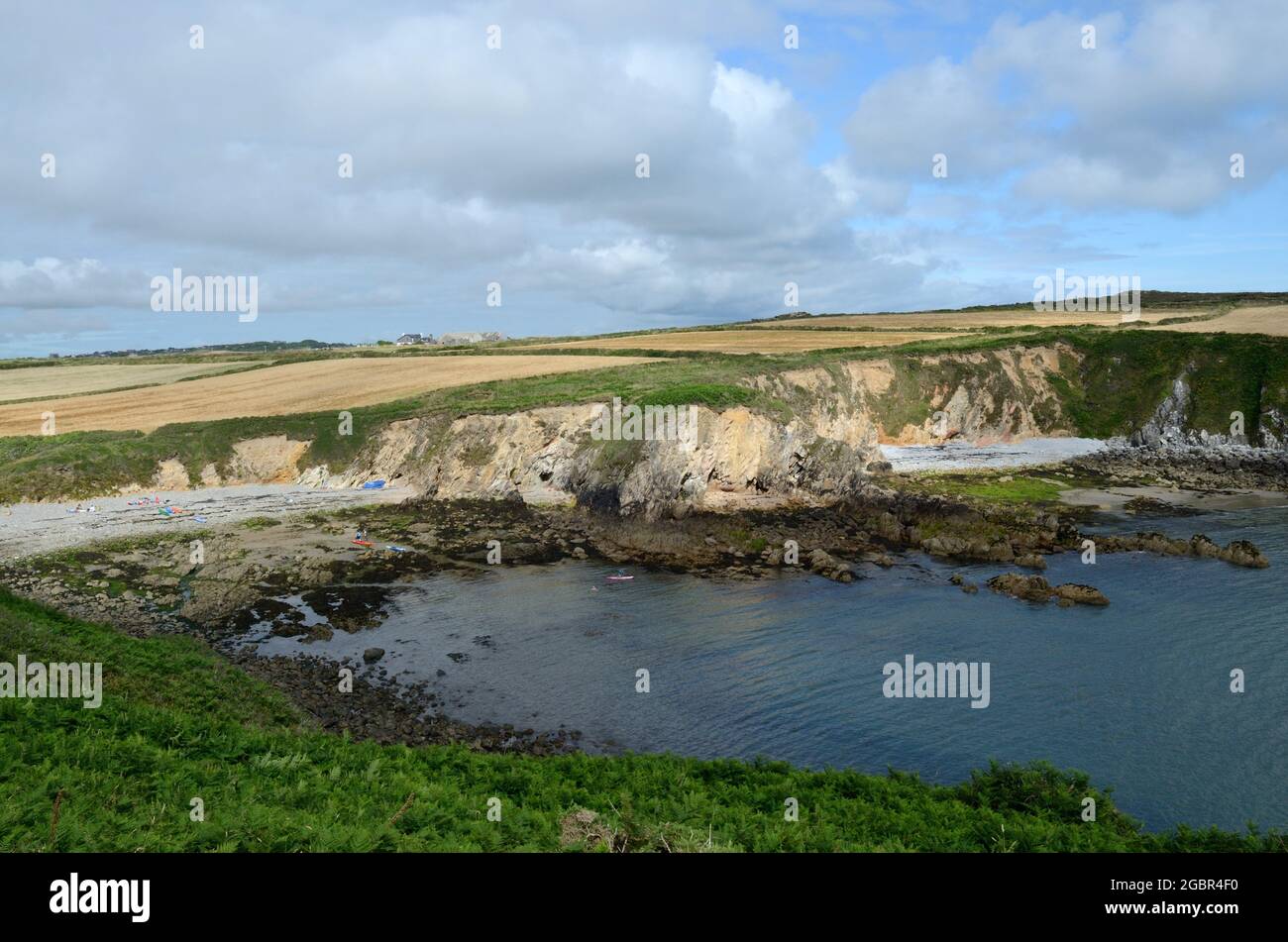 Porthlysgi Bay e Porth Hennlys remoto Welsh basso vicino Porth Clais Pembrokeshire Coast National Park Galles UK Foto Stock