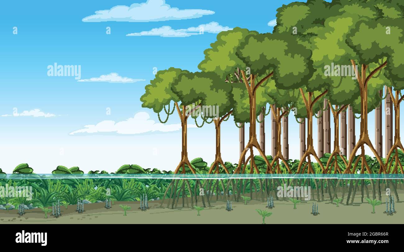 Scena della natura con foresta di mangrovie in illustrazione di stile cartone animato Illustrazione Vettoriale