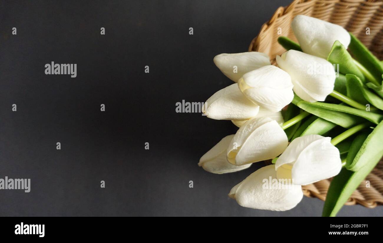 fiore bianco al mattino. Foto Stock