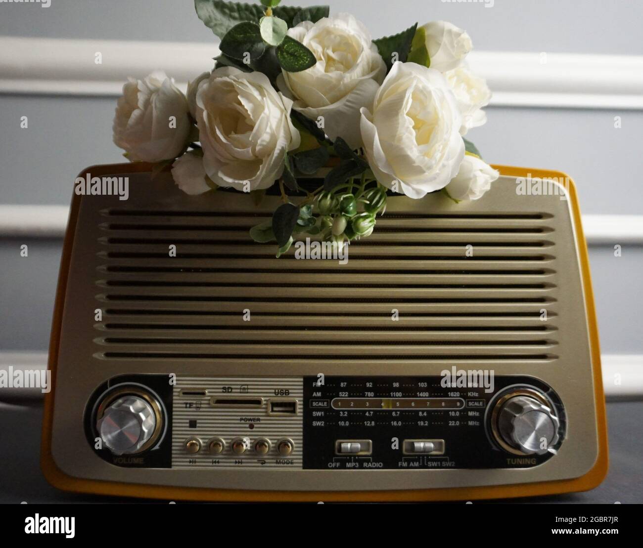 fiore bianco e vecchia radio. Foto Stock