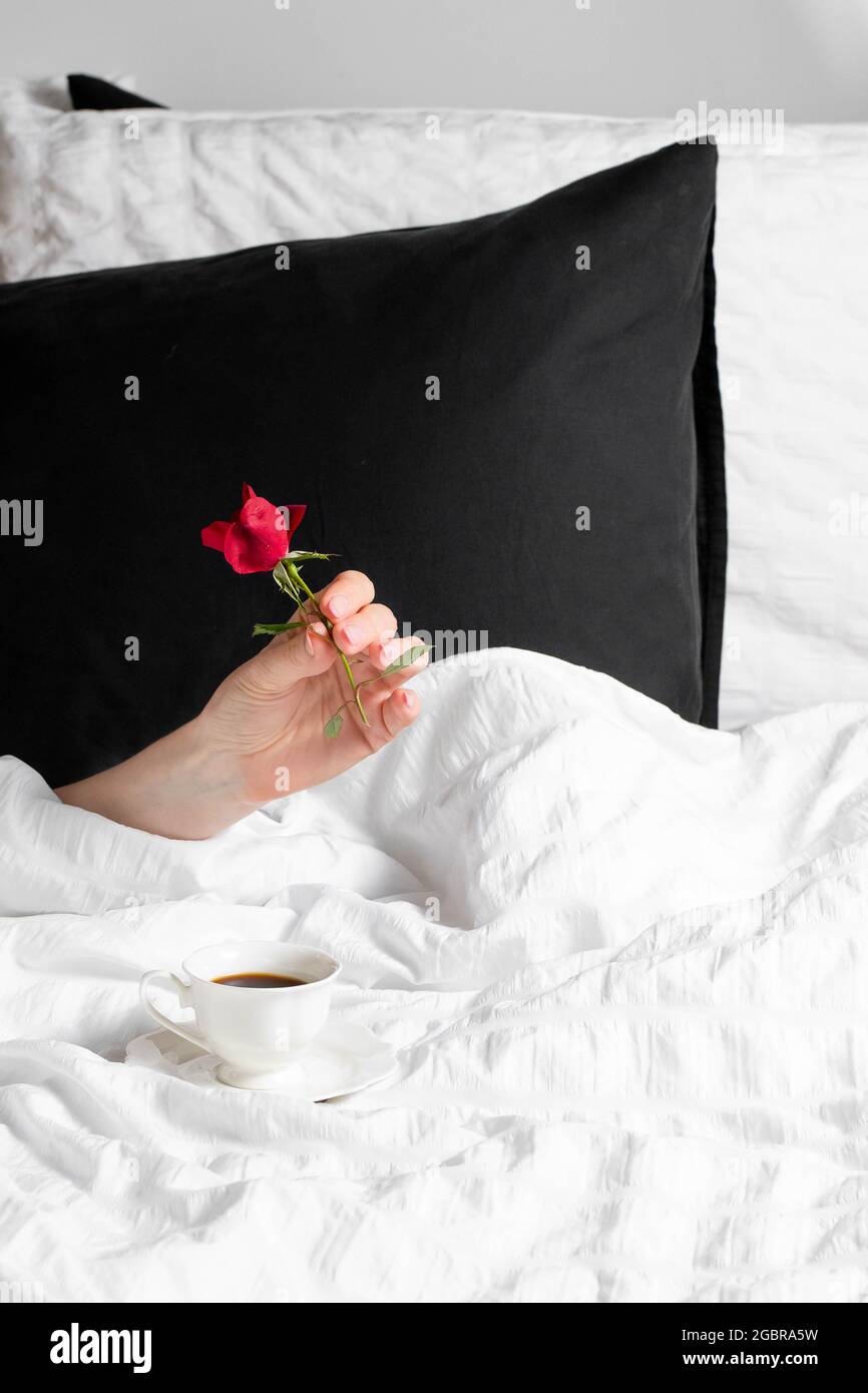 Mano femminile con tazza di caffè e rosa rossa in biancheria da letto bianca Foto Stock