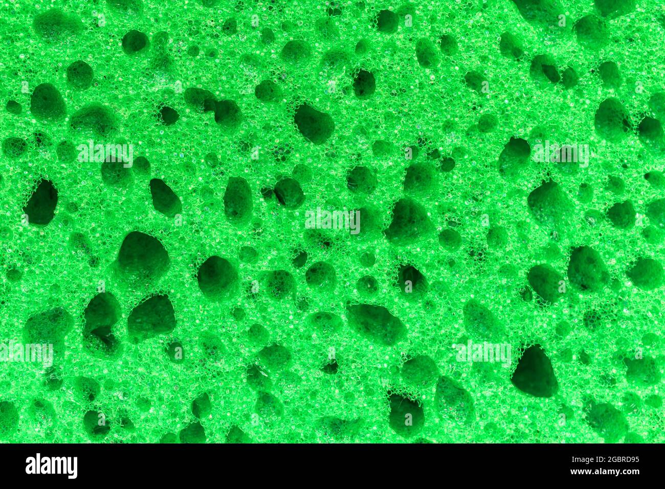 Fondo in spugna verde, alto deatiled Foto Stock