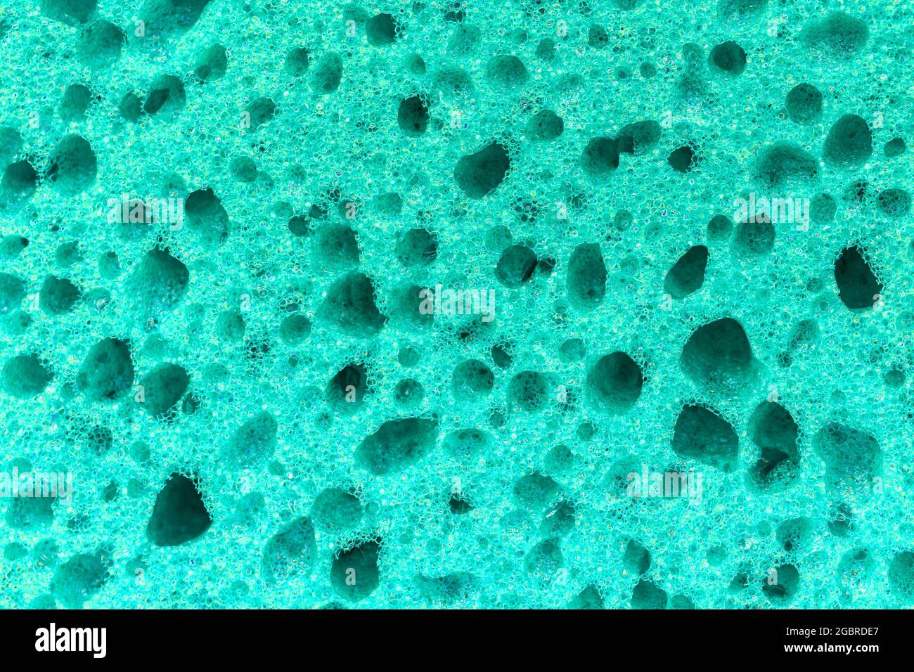Spugna lucida particolare texture, spugna texture sfondo Foto Stock