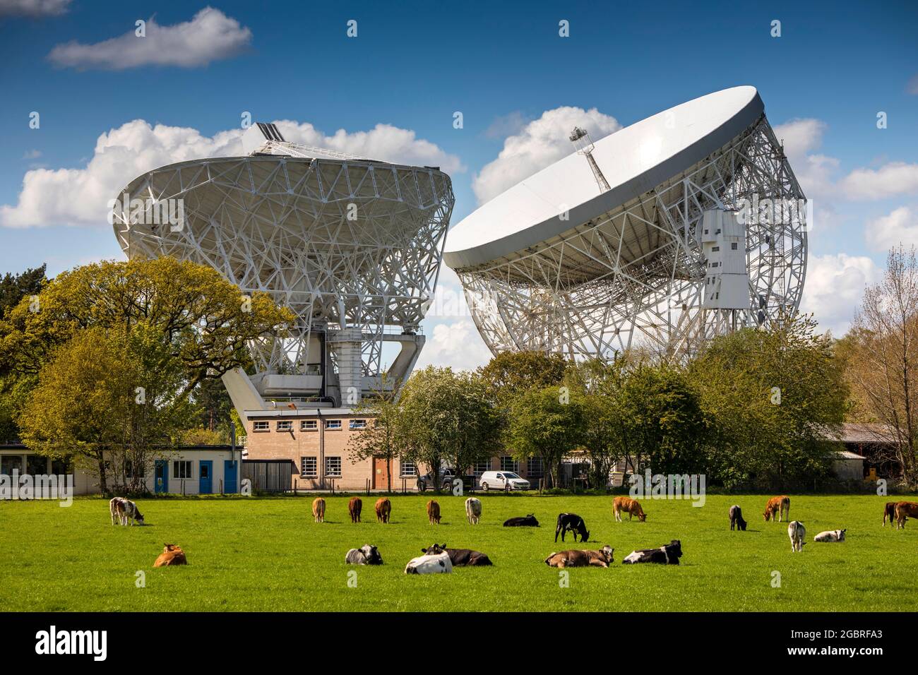 Regno Unito, Inghilterra, Cheshire, Goostrey, Università di Manchester, Jodrell Bank, Lovell radio Telescopio e piccolo piatto periferico Foto Stock