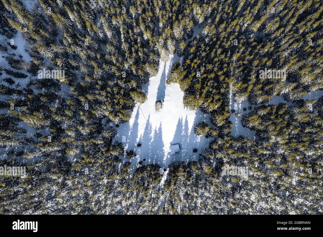 Vista sul drone. Vista aerea della foresta bianca invernale coperta di neve. Paesaggio sulla fredda mattina. Capanna di legno sul prato. Alberi nelle nevicate. Touris Foto Stock