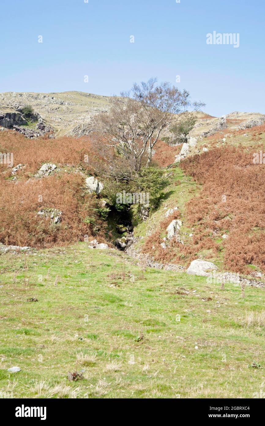 Un becco che scorre sotto Dow Crag e l'Old Man of Coniston Coniston il Lake District Cumbria Inghilterra Foto Stock