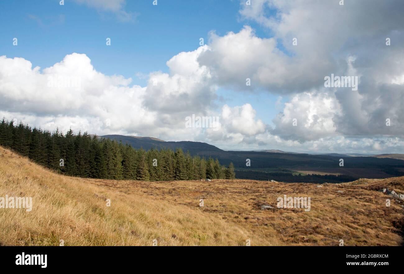 Colline e boschi che si innalzano sopra le grandi acque della Fleet Valley a Dromore vicino Gatehouse of Fleet Dumfries e Galloway Scozia Foto Stock