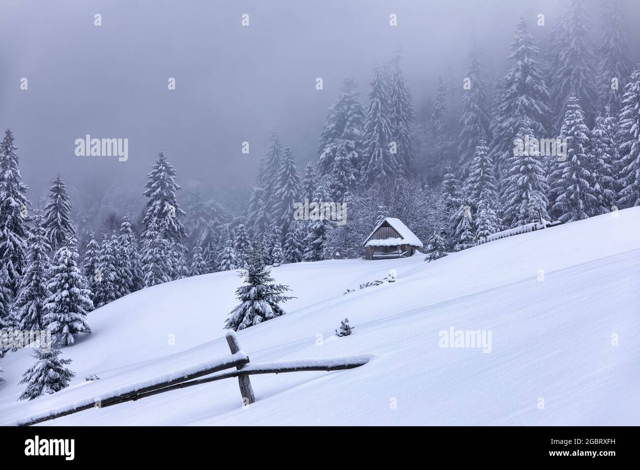 Paesaggio invernale foggoso. Casa di forestere di legno sul prato coperto di neve. Scenario di alte montagne e foreste. Sfondo sfondo. Posizione Foto Stock