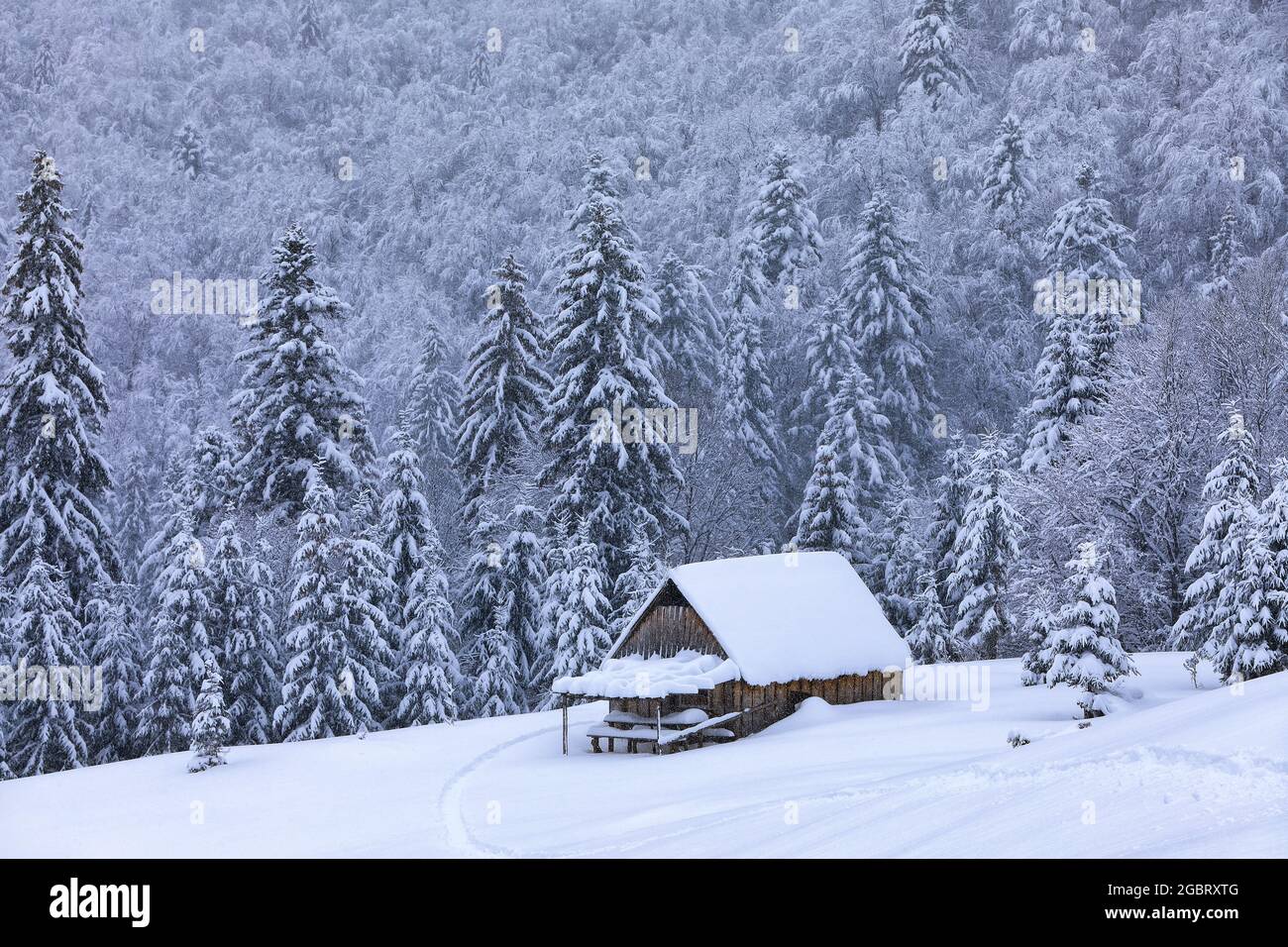 Paesaggio invernale foggoso. L'ampio sentiero conduce alla casa del vecchio forestiero innevato. Scenario di alte montagne e foreste. Sfondo sfondo. Posizione Foto Stock