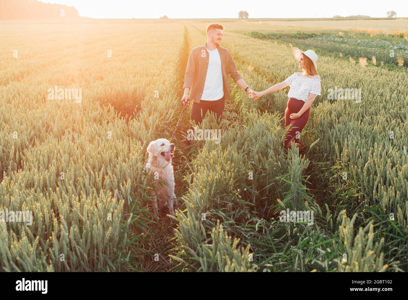 Bella giovane coppia incinta passeggiate nei campi con il loro labrador bianco. Donna incinta . Famiglia e gravidanza. Amore e tenerezza. Felicità e s. Foto Stock