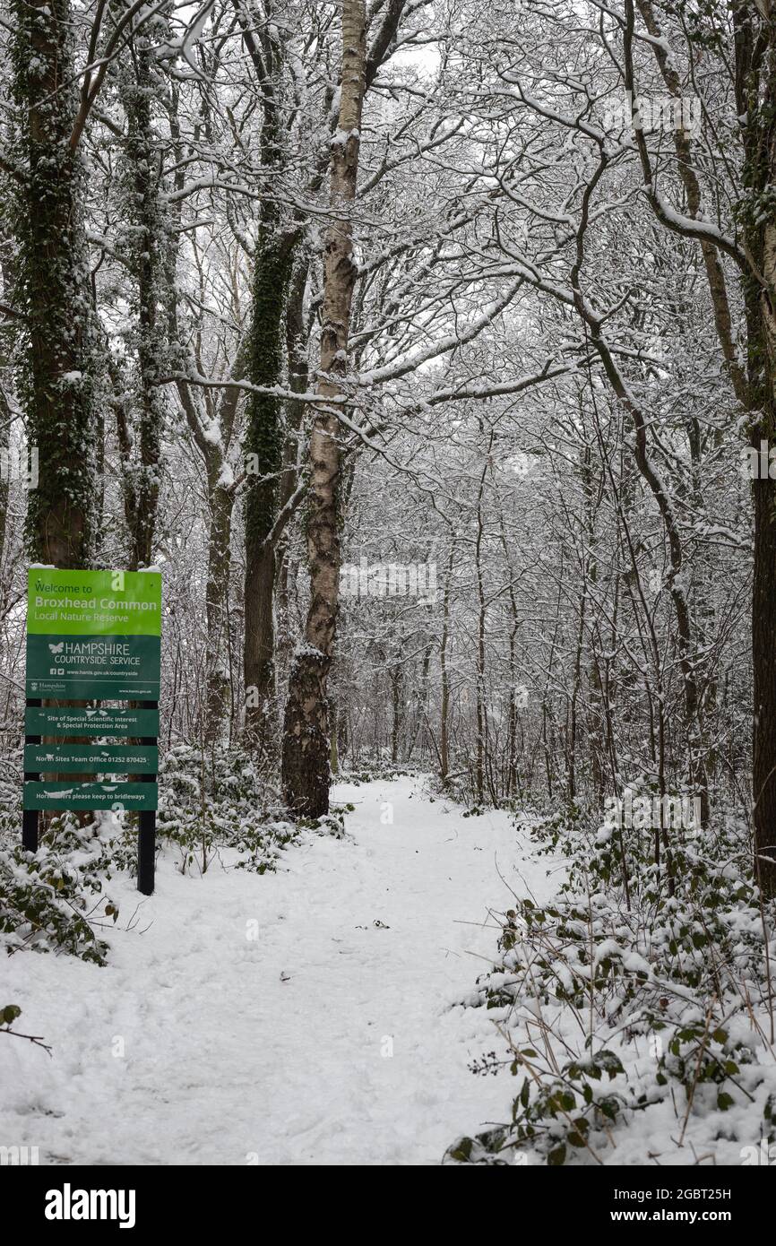 HAMPSHIRE, REGNO UNITO - Jan 05, 2021: Broxhead comune in Hampshire, una campagna rurale riserva naturale coperto di neve Foto Stock