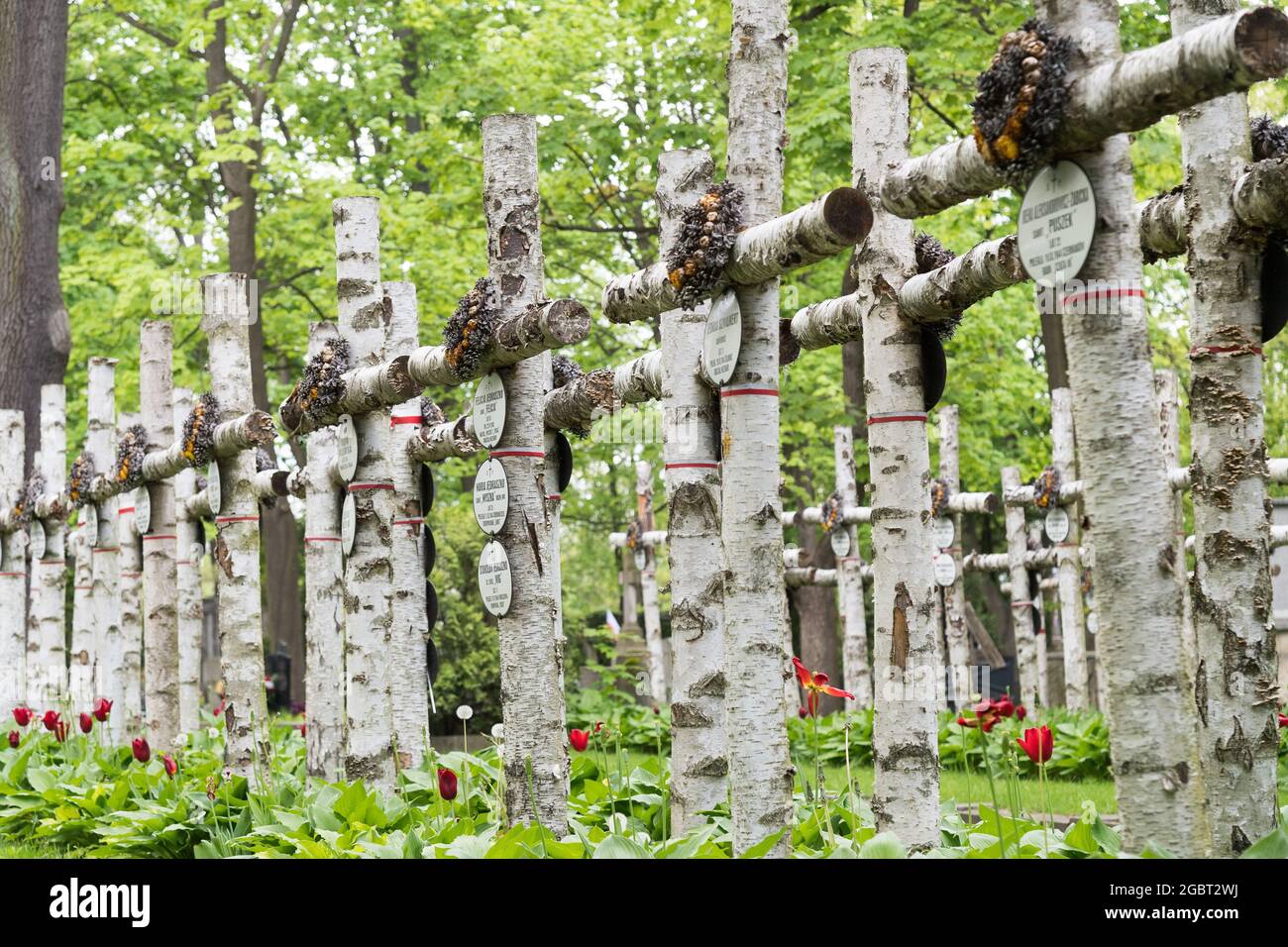 Tombe dei combattenti insorti di Varsavia sul cimitero militare di Powazki (Cmentarz Wojskowy na Powazkach) a Varsavia, Polonia. 17 Maggio 2021 © Wojciech Strozyk / Foto Stock