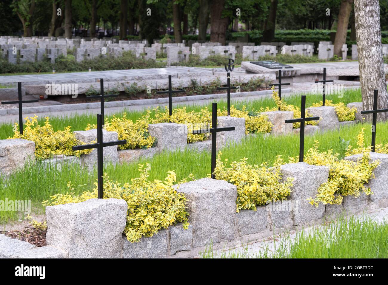 Tombe dei combattenti insorti di Varsavia sul cimitero militare di Powazki (Cmentarz Wojskowy na Powazkach) a Varsavia, Polonia. 17 Maggio 2021 © Wojciech Strozyk / Foto Stock