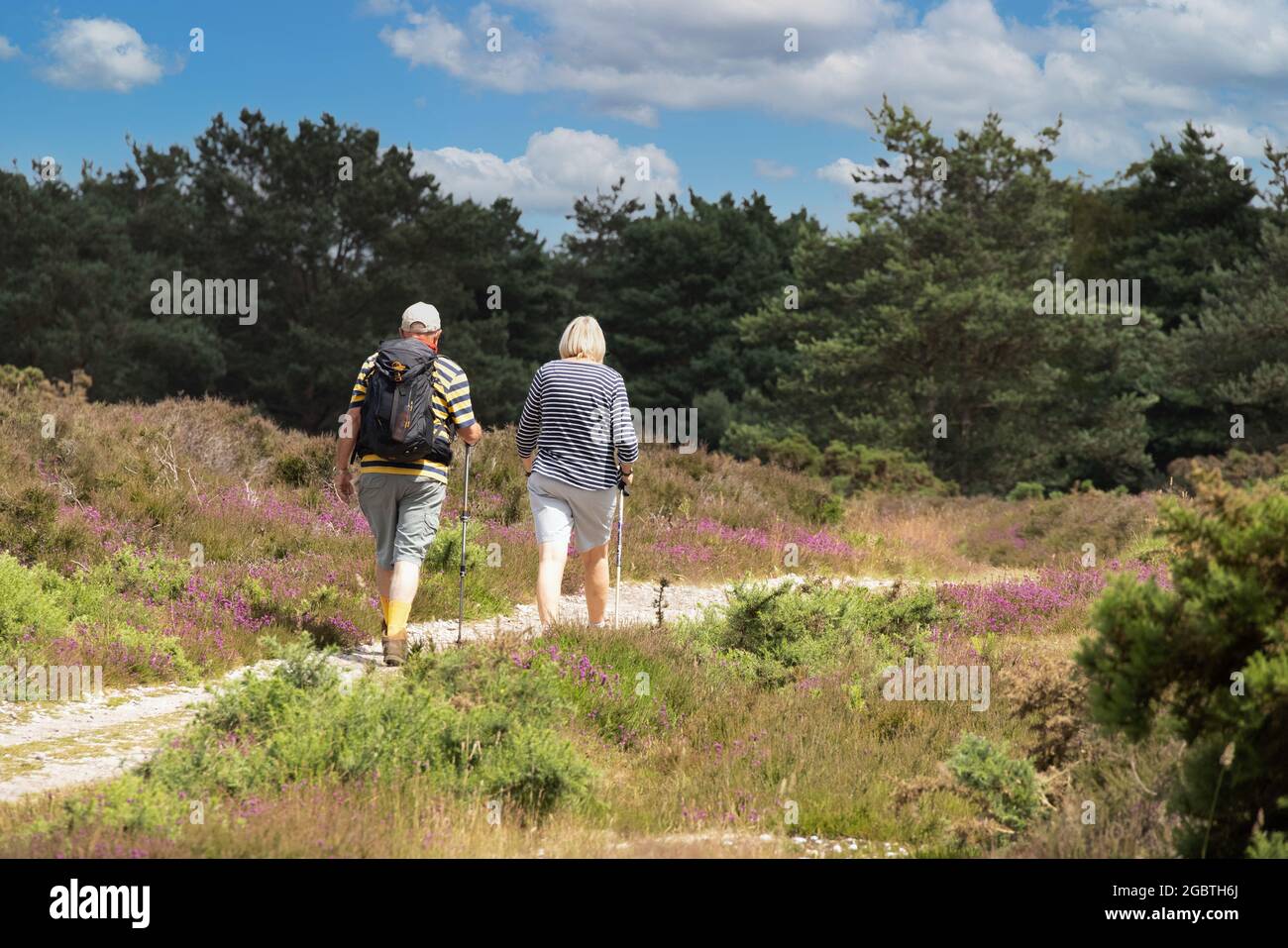 Coppia matura che cammina attraverso la brughiera nella campagna di Suffolk in estate, Dunwich, Suffolk Inghilterra UK Foto Stock
