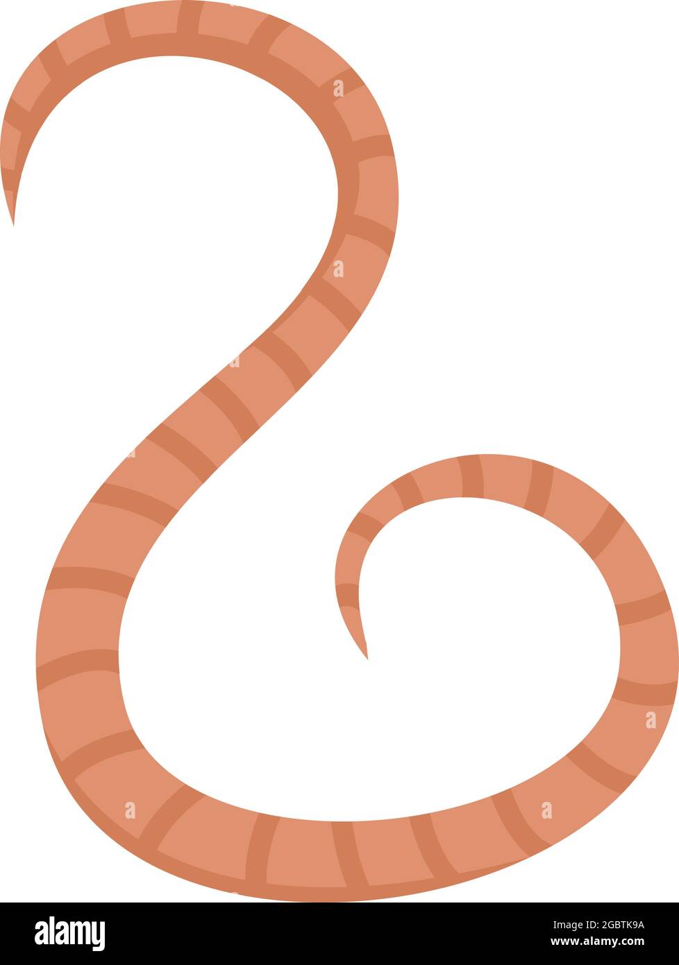 Icona vite senza fine di terra. Immagine piatta dell'icona del vettore del worm di terra isolata su sfondo bianco Illustrazione Vettoriale