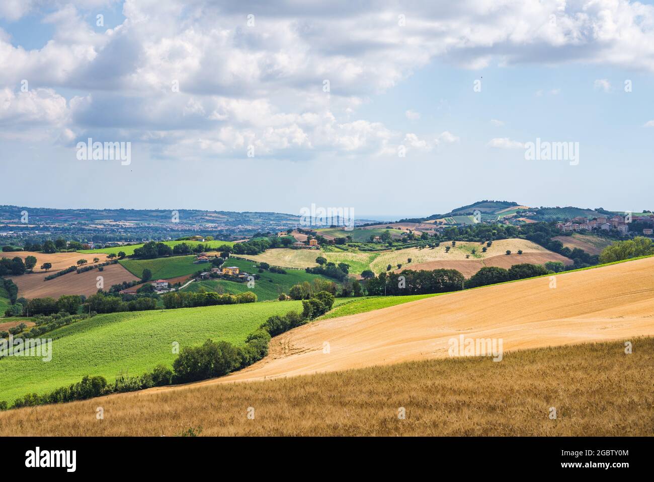 Regione Marche, Italia. Paesaggio rurale Foto Stock