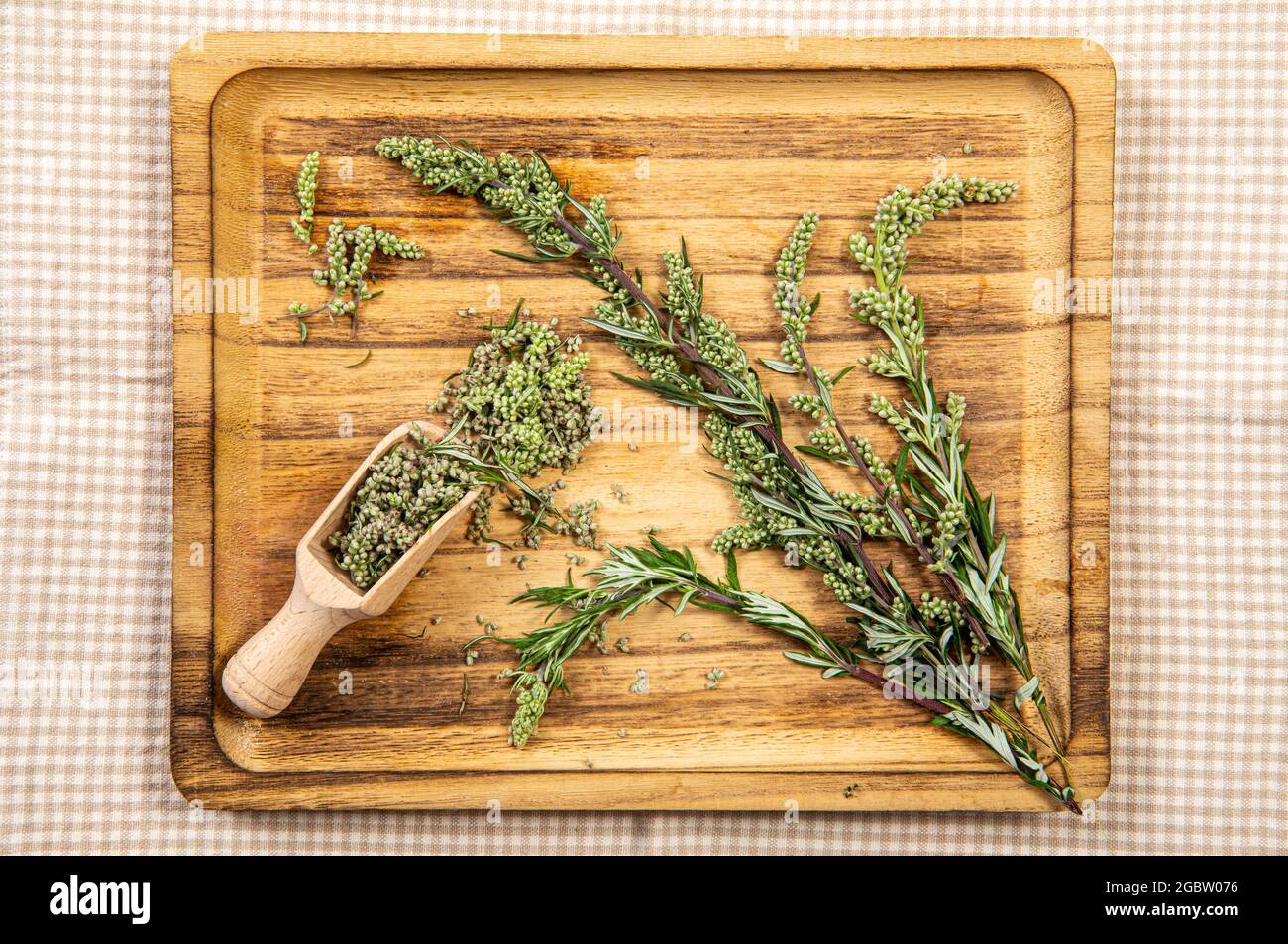 Artemisia vulgaris le parti comuni di pianta di mugwort su cucchiaio di legno su vassoio di legno di colore naturale, interno studio shot. Concetto di medicina di erbe. Foto Stock