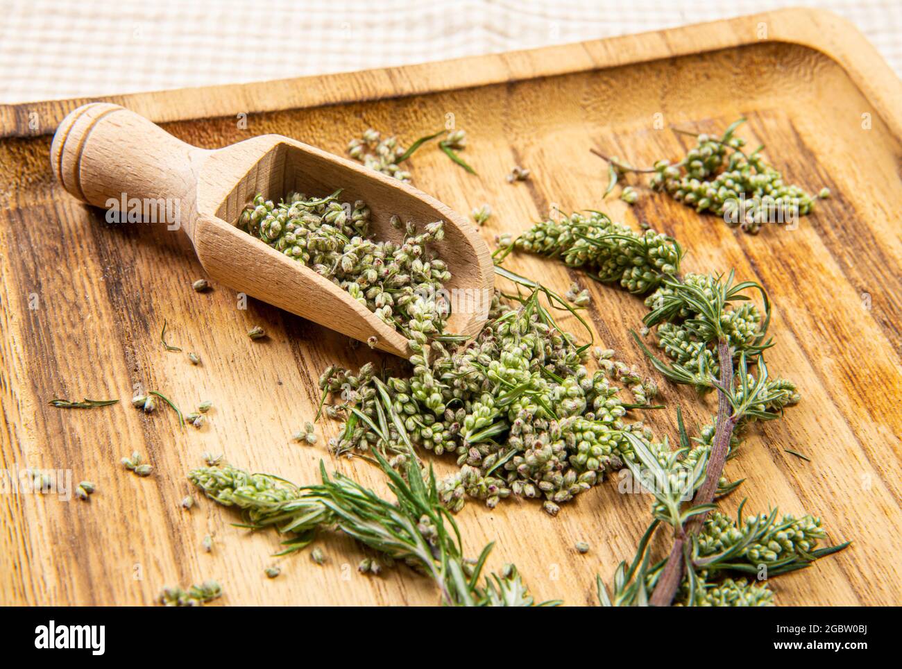 Artemisia vulgaris le parti comuni di pianta di mugwort su cucchiaio di legno su vassoio di legno di colore naturale, interno studio shot. Concetto di medicina di erbe. Foto Stock