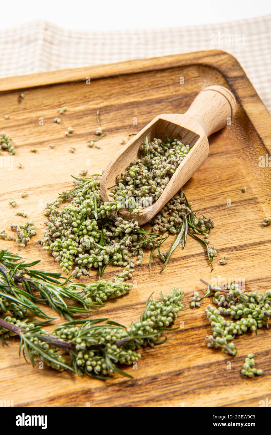 Artemisia vulgaris le parti comuni di pianta di mugwort su cucchiaio di legno su vassoio di legno di colore naturale, interno studio shot. Concetto di medicina di erbe. Foto Stock