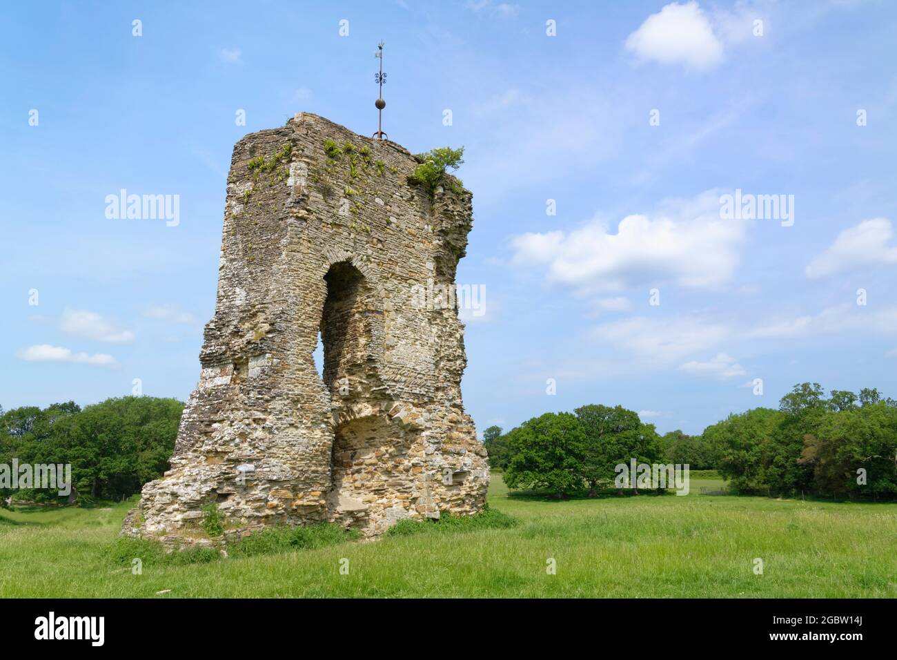 Rovine del castello di Knepp, costruito nel 12 ° secolo da William de Braose, Sussex occidentale, Regno Unito, giugno 2021. Foto Stock