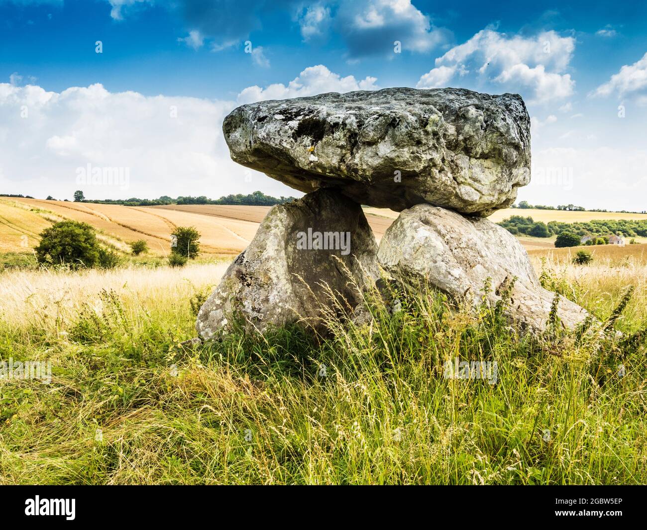 Il Devil's Den vicino a Marlborough nel Wiltshire. Foto Stock