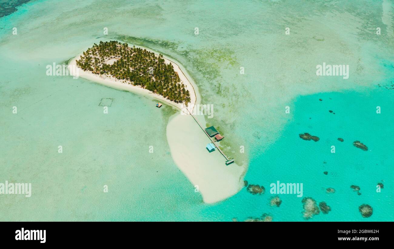 Isola tropicale tra le barriere coralline con una spiaggia di sabbia bianca e blu atollo di acqua. Onok Isola, Balabac, Filippine. Estate viaggi e concetto di vacanza Foto Stock