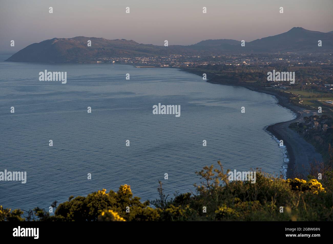 Splendida vista serale di Killiney Beach, Bray Head, Little Sugar Loaf e fiori di gola (Ulex) visti da Killiney Hill durante l'ora d'oro, Dublino, IR Foto Stock