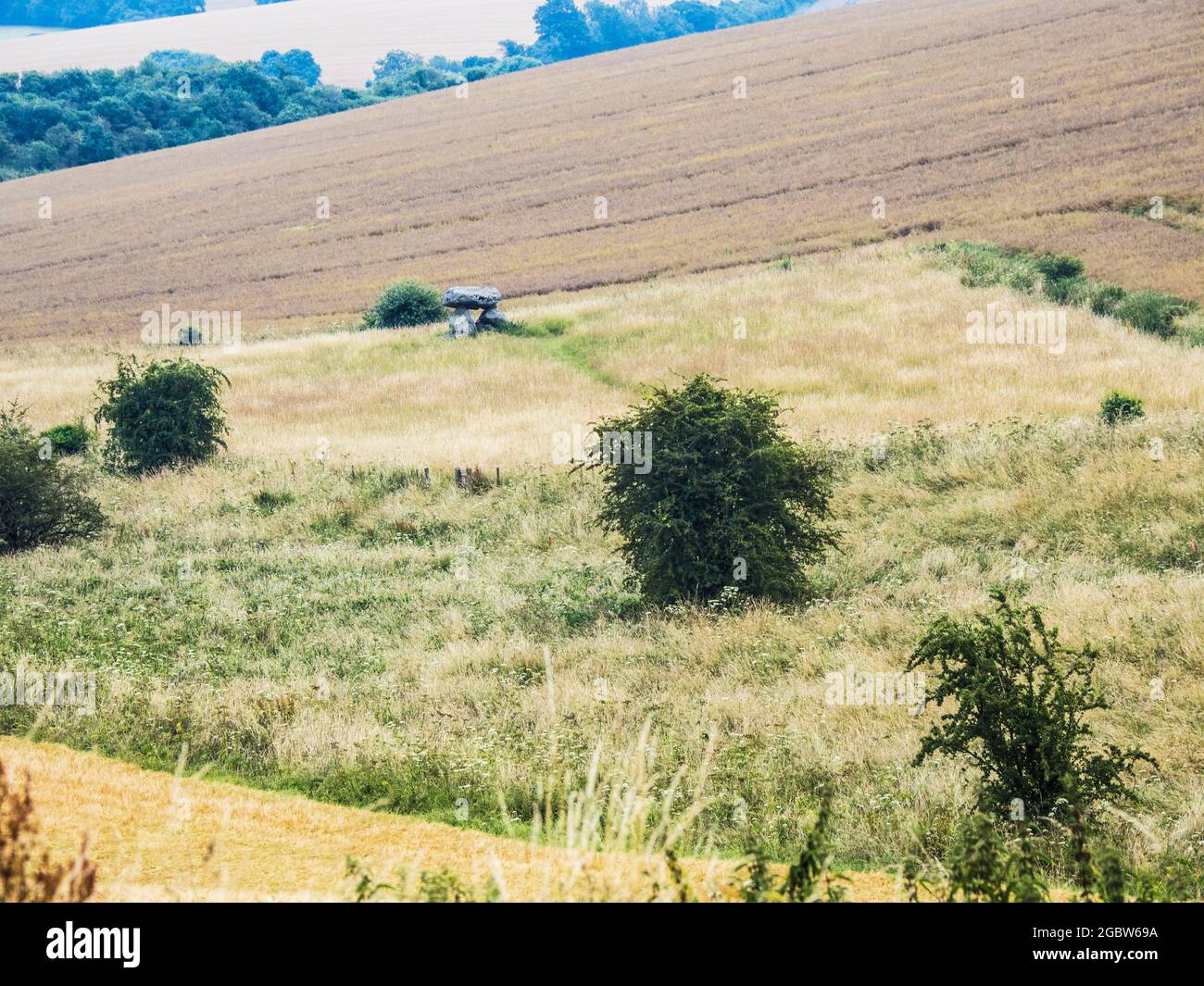 Il Devil's Den vicino a Marlborough nel Wiltshire. Foto Stock