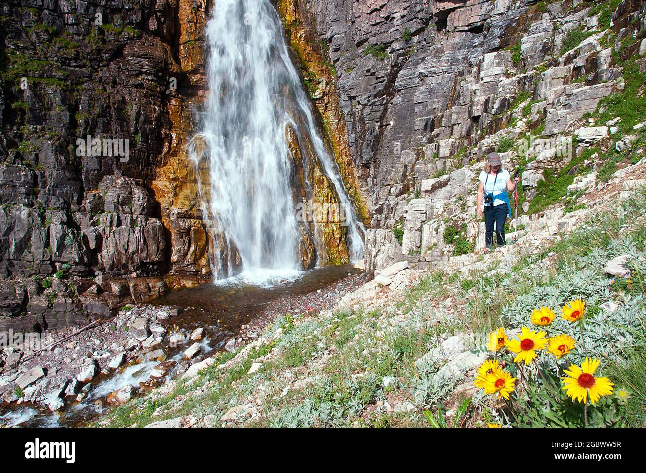 Giovane donna escursionista alle Cascate Apikuni, fiori selvatici, molti Ghiacciaio, Glacier National Park, Montana Foto Stock