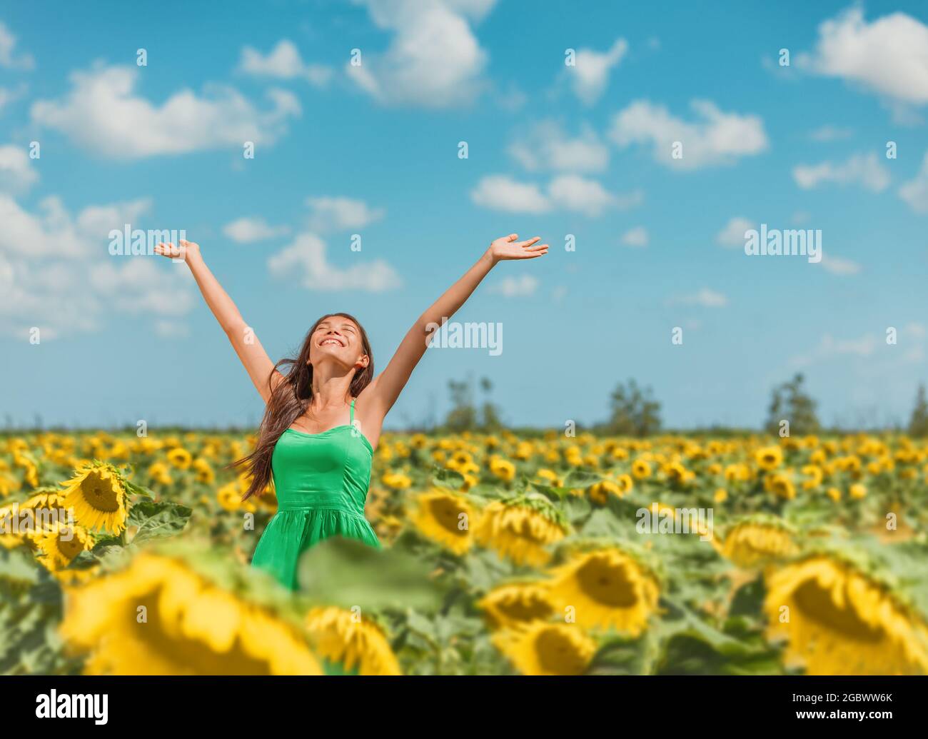Felice libera donna asiatica danzare con le braccia di felicità in campo girasoli che celebra la primavera rilassante al sole. Ragazza che gode la natura guardando in su Foto Stock