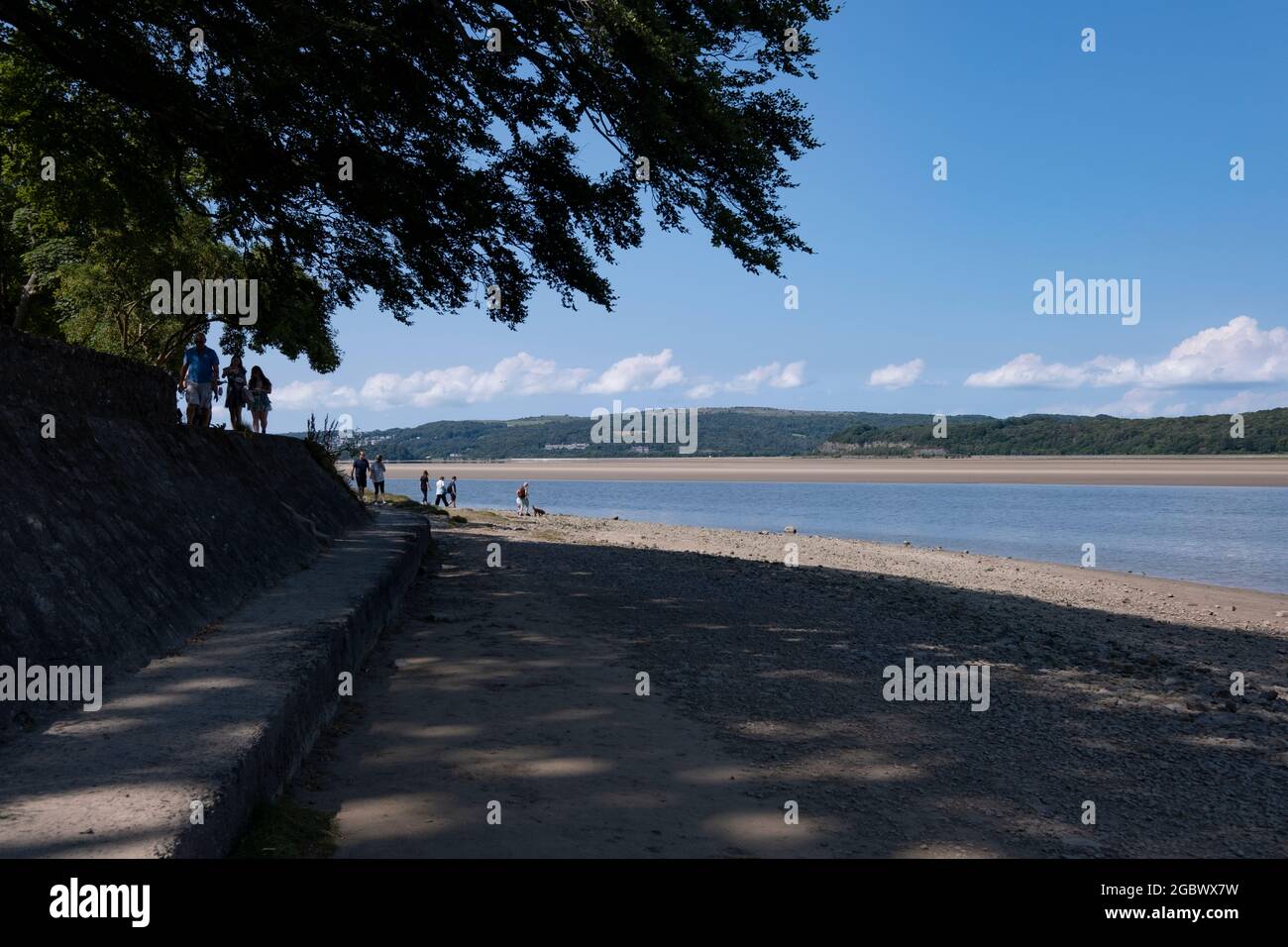 Gli alberi gettano ombre in una giornata di sole sulla spiaggia di Arnside, Inghilterra. Foto Stock