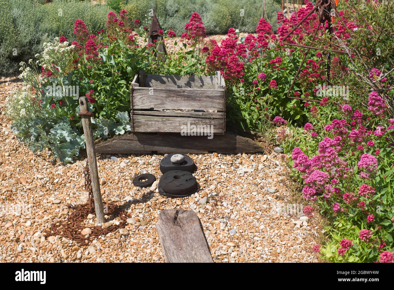 Prospetto Cottage e giardino Dungeness Kent Foto Stock