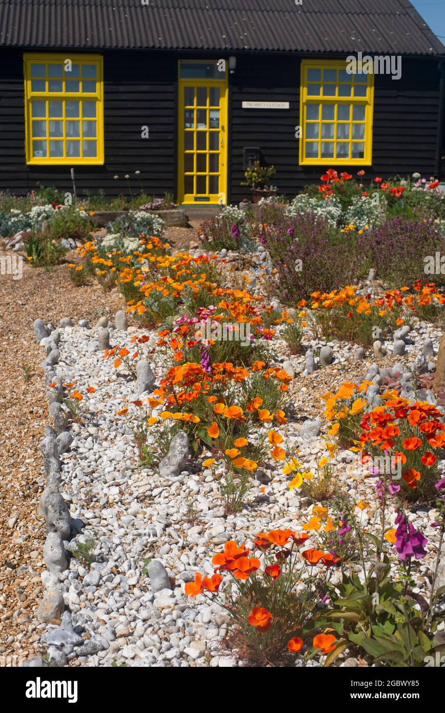 Prospetto Cottage e giardino Dungeness Kent Foto Stock