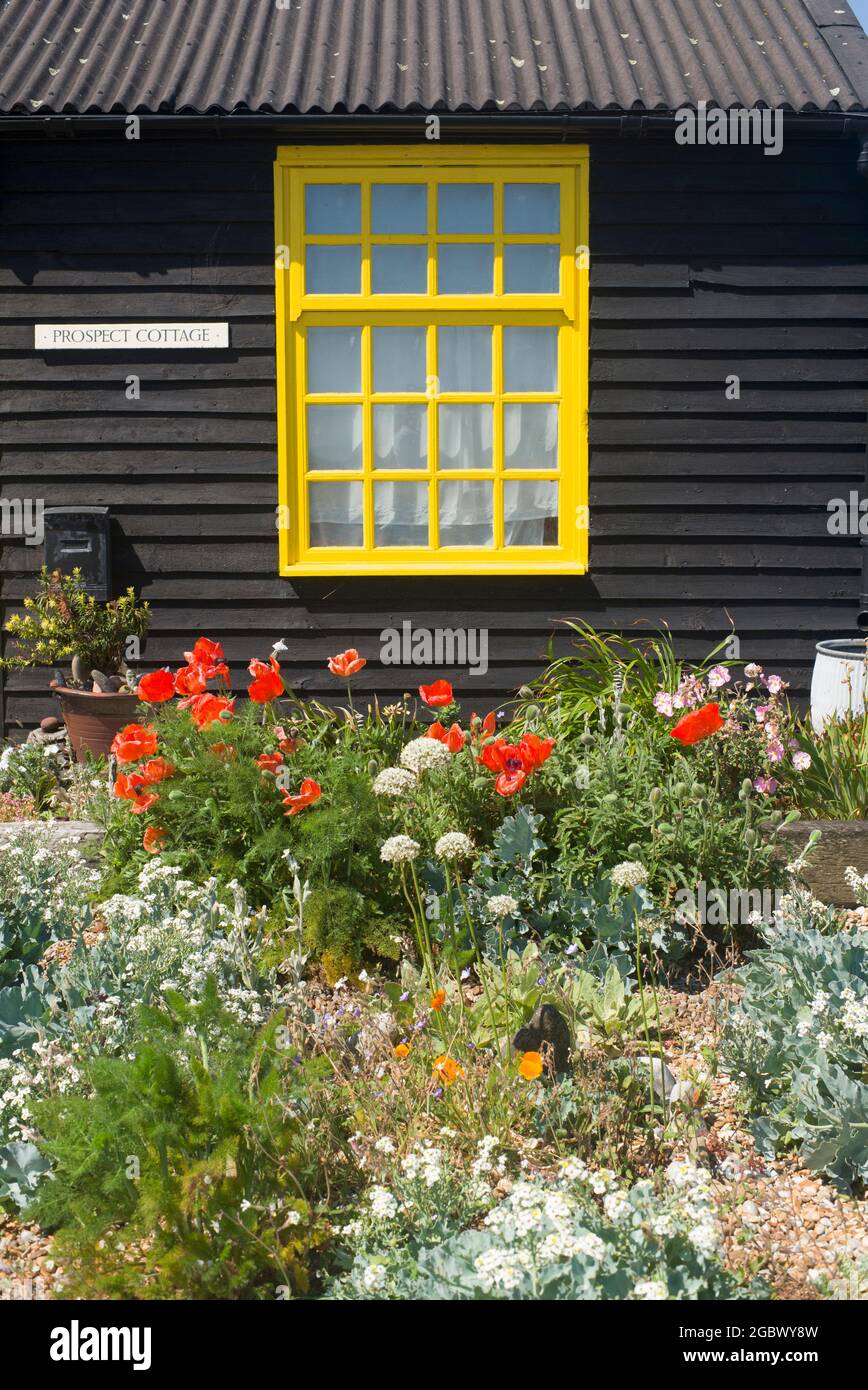 Prospetto Cottage e giardino Dungeness Kent Foto Stock