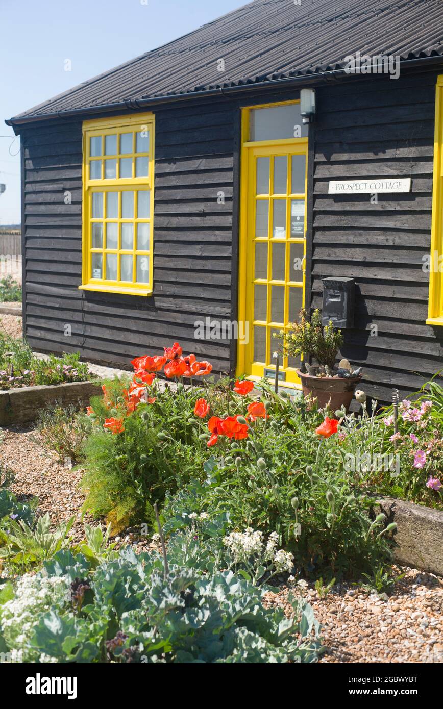 Prospetto Cottage e giardino Dungeness Kent Foto Stock