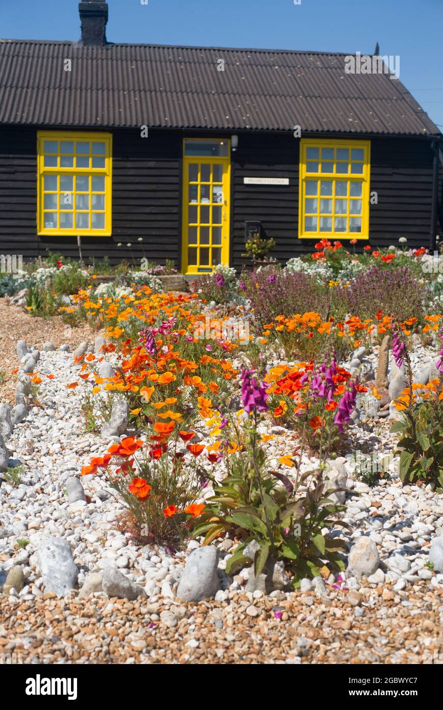 Prospetto Cottage e giardino Dungeness Kent Foto Stock