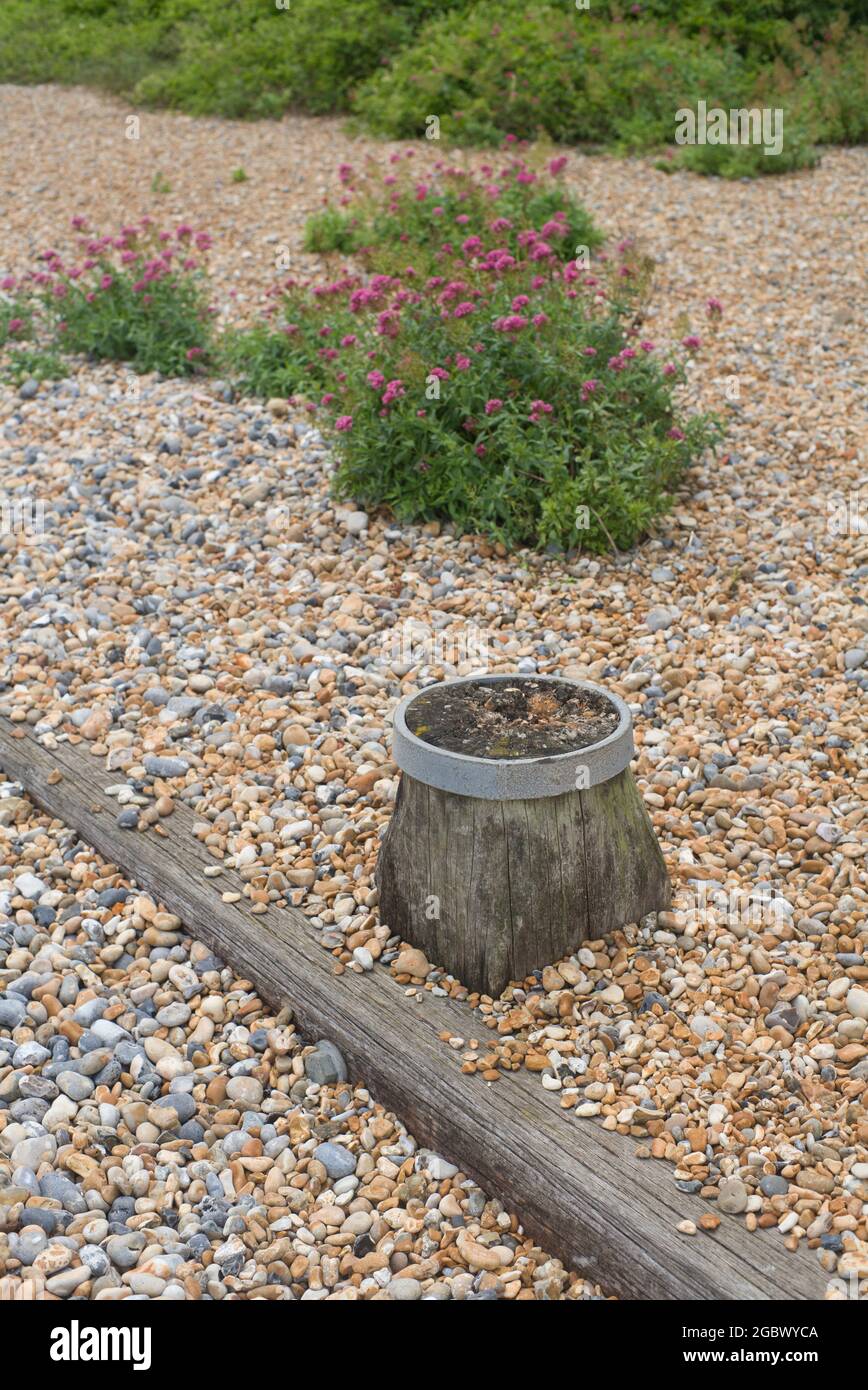 Prospetto Cottage e giardino Dungeness Kent Foto Stock