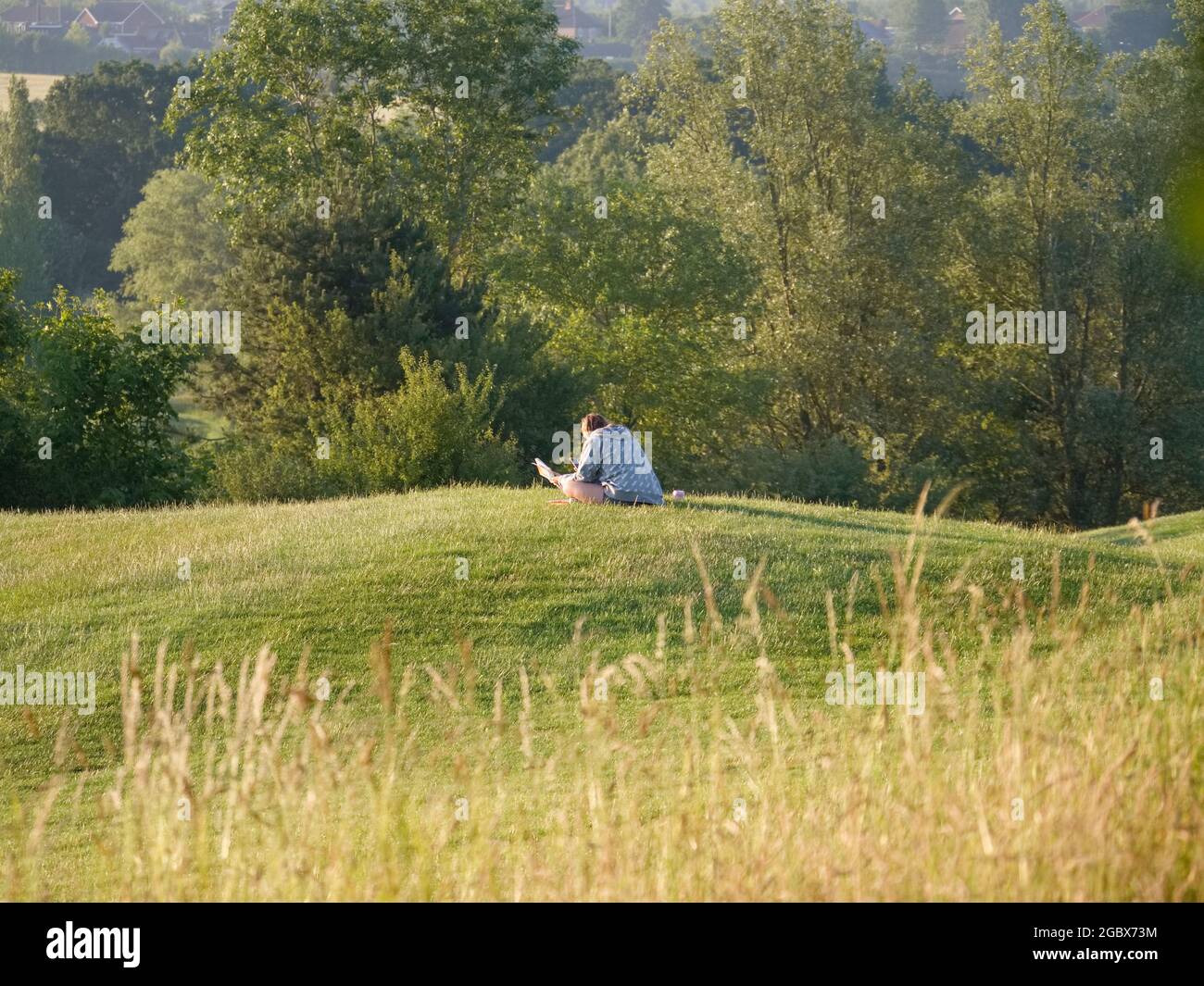 Studiare durante il blocco, tempo di messa a fuoco della mattina presto Foto Stock