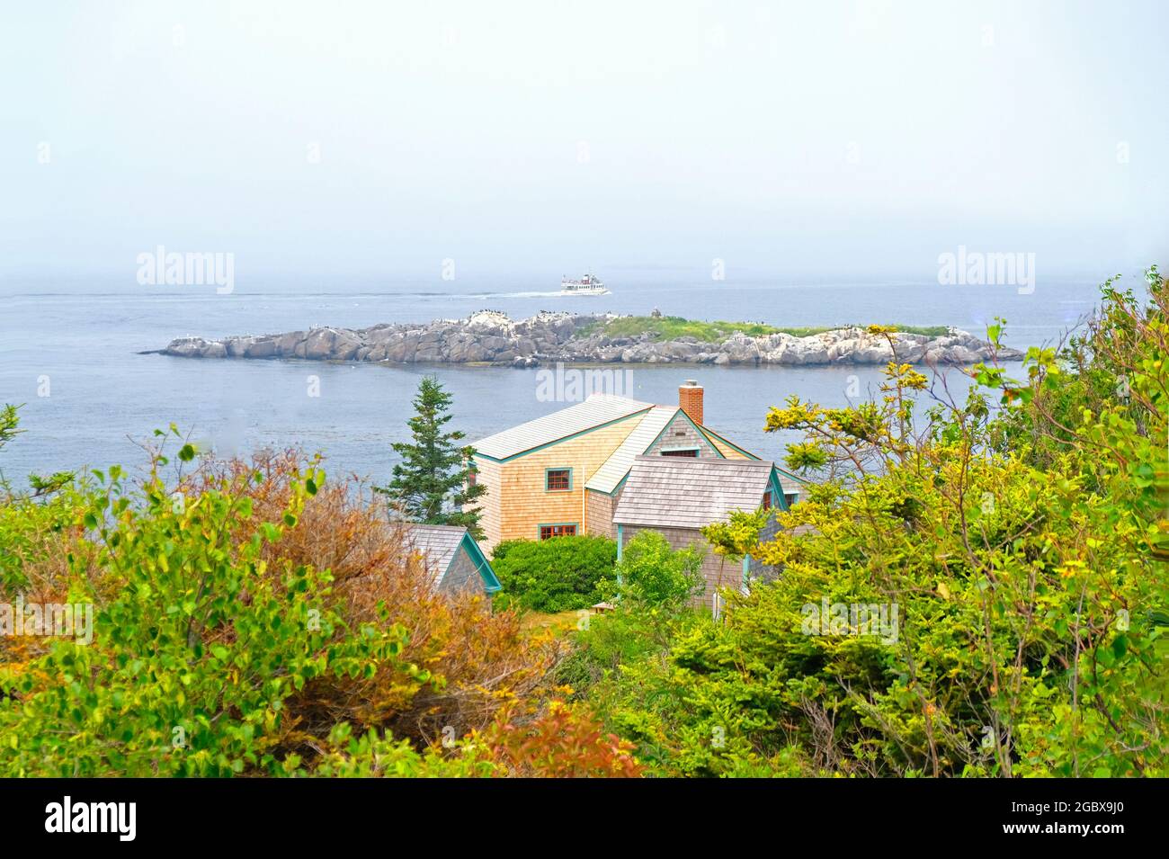 Linea costiera della Maine Foto Stock
