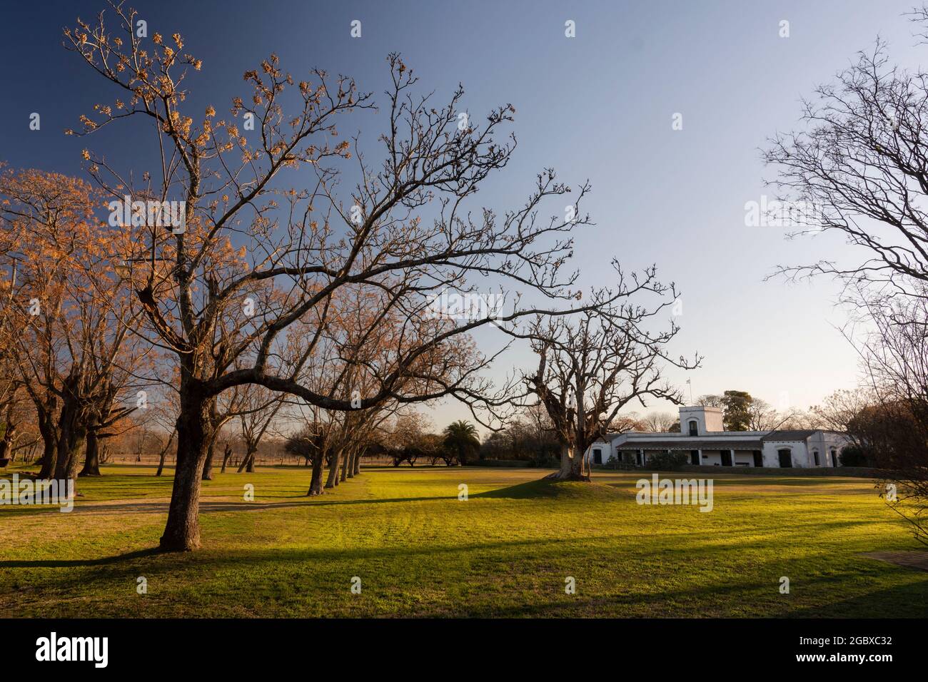 Campo verde con alberi e piante e una tipica costruzione storica dalla campagna di Buenos Aires. Museo Gaucho 'Ricardo Güiraldes' di San Antonio Foto Stock