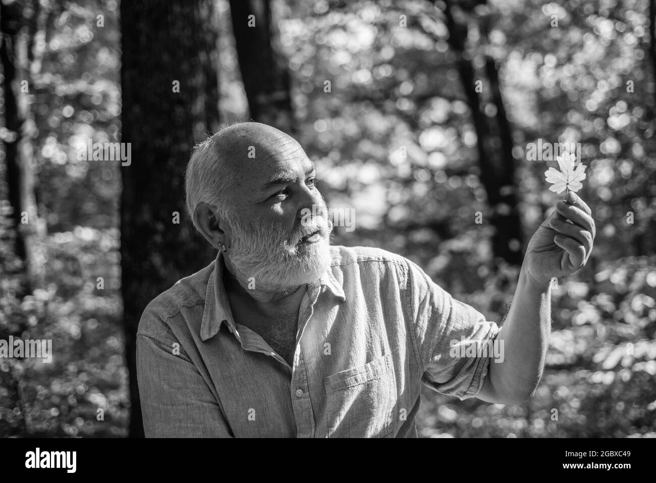 Mantenere la allegria. Escursioni in foresta per pensionati in sole giornate autunnali. L'uomo felice gode della natura autunnale. Nonno bearded che si rilassa nella foresta. Vedere la bellezza Foto Stock