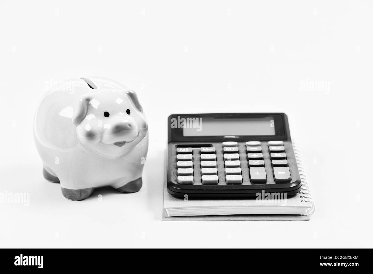 Servizi di assistenza finanziaria. Consulenza di supporto finanziario. Corsi di alfabetizzazione finanziaria. Risparmio di denaro di una banca piggy. Concetto di Unione di credito. Relazione finanziaria Foto Stock