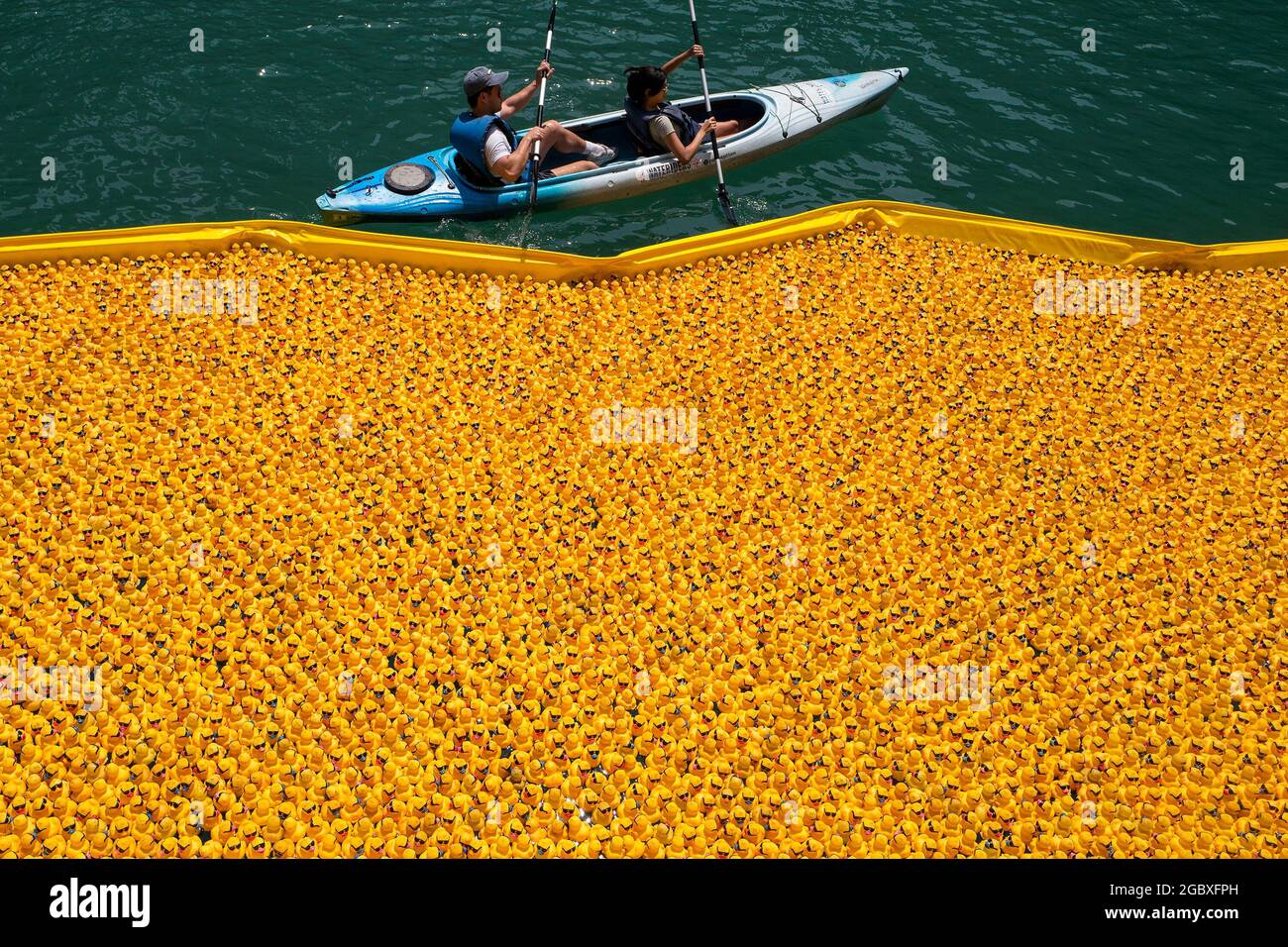 Chicago, Illinois, Stati Uniti. 5 agosto 2021. La gente pagaia in un kayak dalle anatre di gomma dopo essere stata versata nel fiume Chicago per il Chicago Ducky Derby, Giovedi. Oltre 70,000 anatre di gomma sono corse lungo il fiume Chicago come una raccolta di fondi annuale che avvantaggerà le Olimpiadi speciali dell'Illinois. (Credit Image: © Ringo Chiu/ZUMA Press Wire) Foto Stock