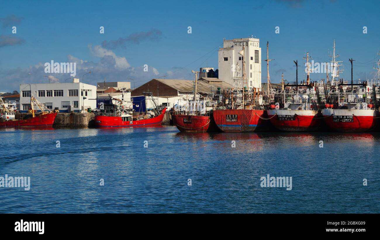 Vecchie barche da pesca colorate nel porto di Mar del Plata Foto Stock