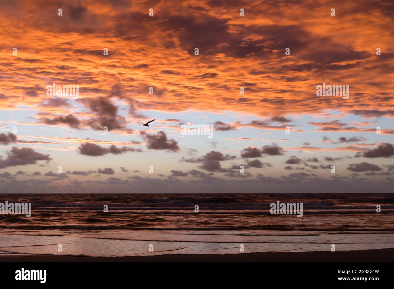 Nuvole arancioni e uccelli volanti dopo il tramonto. Egmond aan Zee, Olanda del Nord, Paesi Bassi. Foto Stock