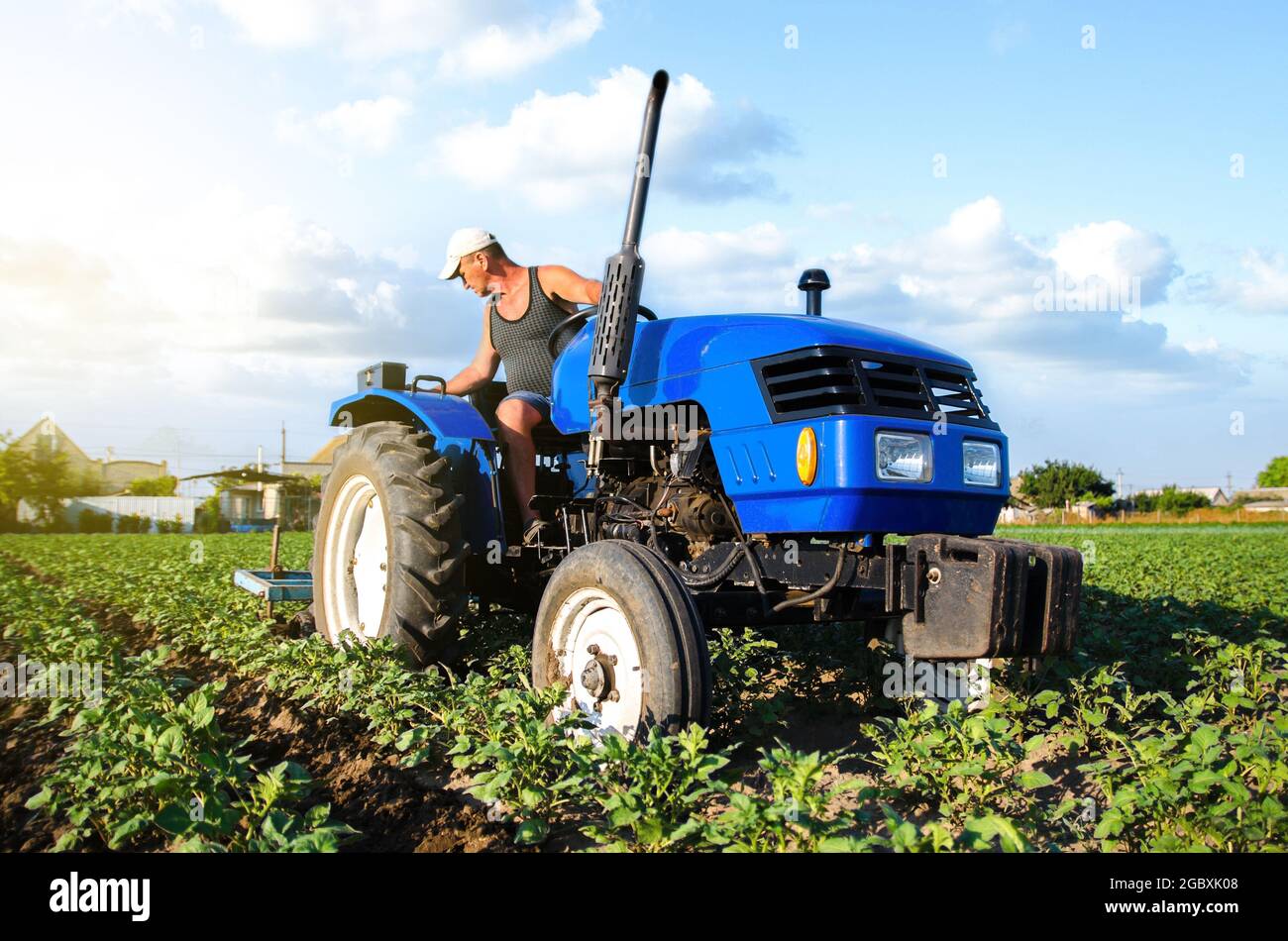Un coltivatore su un trattore coltiva una piantagione di patate. Agroindustria e agroalimentare. Coltivazione sul campo. Macchine agricole. Lavori in azienda. Terreno qu Foto Stock