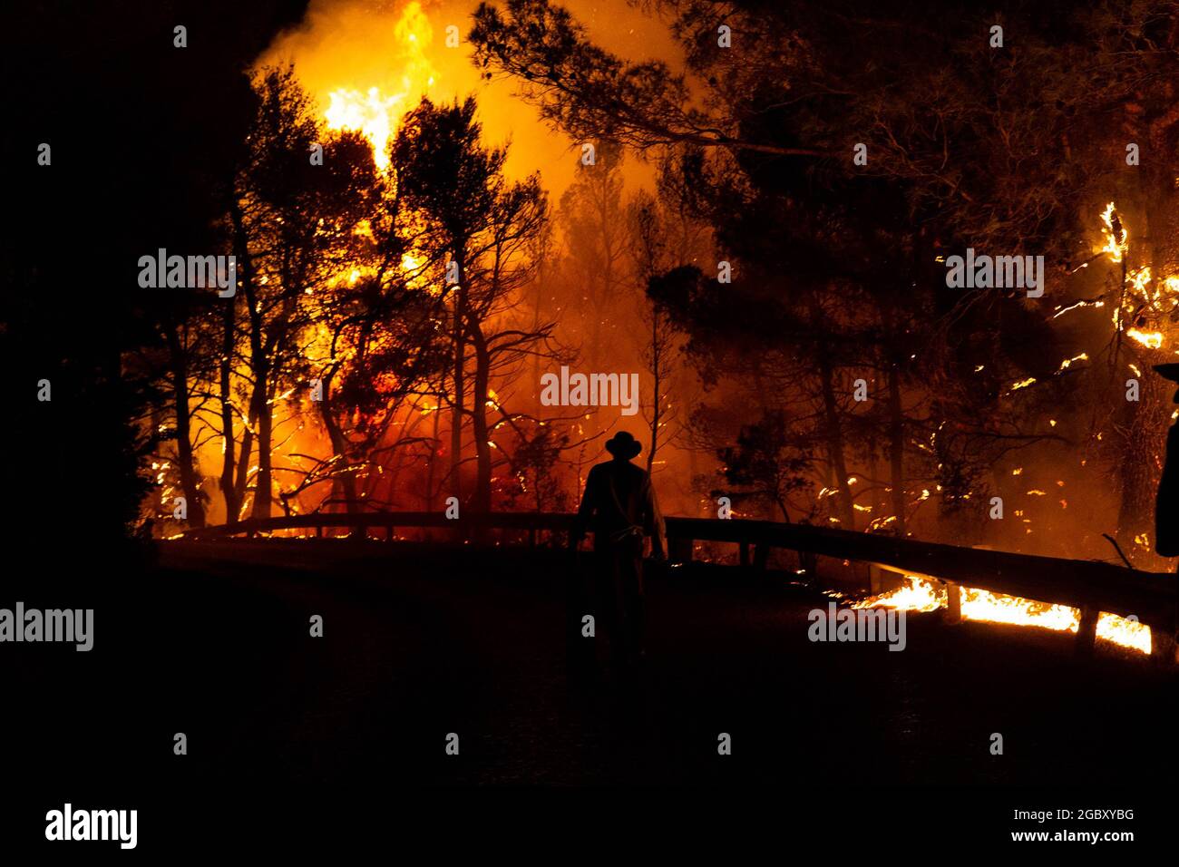 Atene, Grecia. 5 agosto 2021. Un volontario cerca di spegnere un fuoco selvatico nel nord di Atene, Grecia, il 5 agosto 2021. Le forze antincendio stanno lottando inesorabilmente per contenere gli incendi scoppiati in tutta la Grecia. Gli incendi nel nord di Atene tornano alla vita giovedì, mentre la Grecia affronta anche i flare-up sull'isola di Evia, nell'antica Olimpia nel Peloponneso nordoccidentale e in altre parti del paese. Credit: Marios Lolos/Xinhua/Alamy Live News Foto Stock