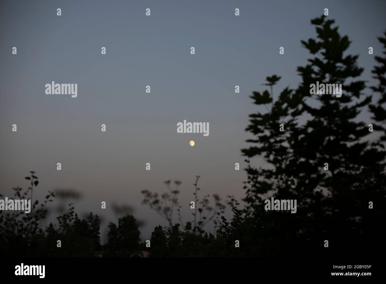 Piccola luna nel cielo. Paesaggio serale fuori città. Il corpo celeste si illumina. Foto Stock