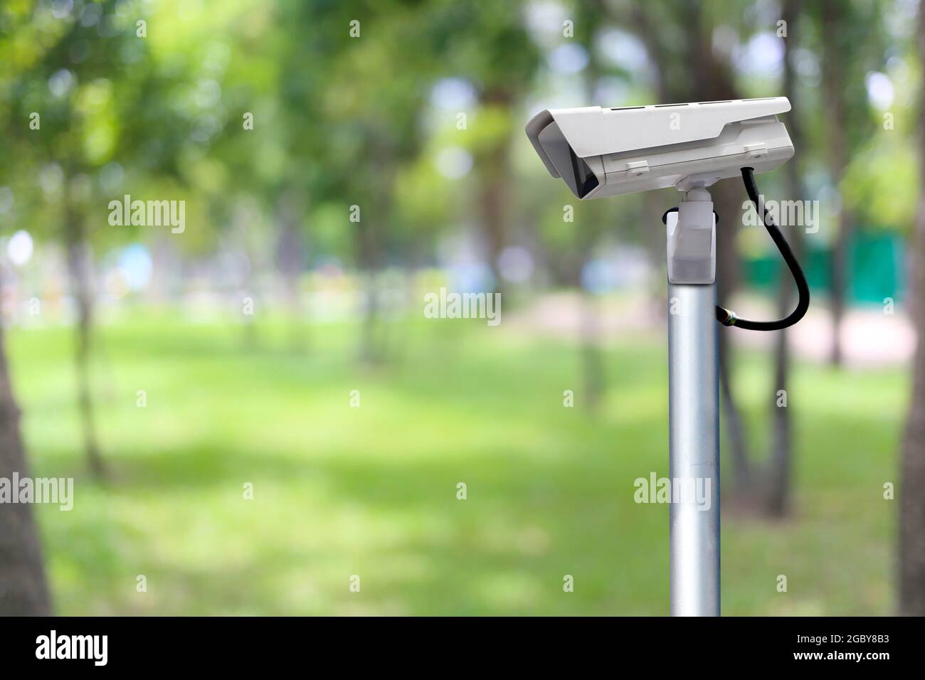Sistema CCTV in giardino e hanno spazio di copia, strumentale in strumenti di sicurezza per monitor. Foto Stock