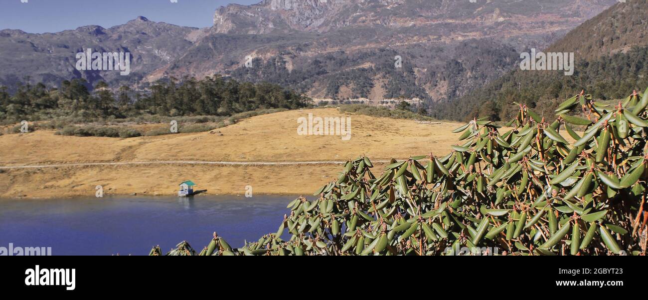 Cespugli alpini, vista della campagna acenica e bellissimo lago PT tso o lago penga teng tso a tawang in arunachal pradesh, india Foto Stock
